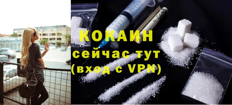 Cocaine Эквадор  hydra как войти  Тавда 