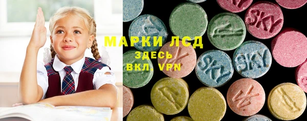 соль ск Кукмор