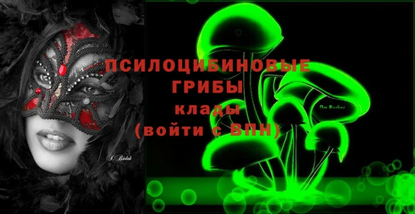 соль ск Кукмор