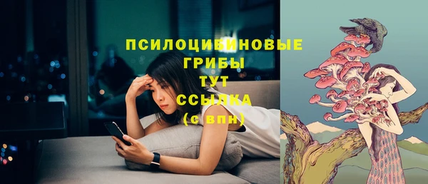 кокс Ладушкин