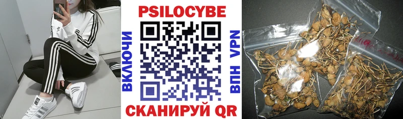 где можно купить наркотик  Тавда  shop телеграм  Псилоцибиновые грибы Magic Shrooms 