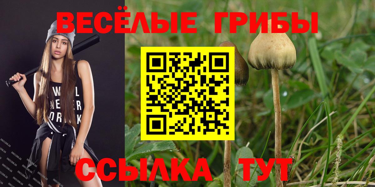 Псилоцибиновые грибы мицелий  Вход с VPN  Тавда 